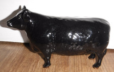 Beswick Approved By The Aberdeen Angus Cattle Society Cow 1563 ~ Excellent ~ 1st