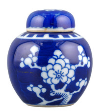 Chinese Porcelain Ginger Jar