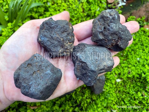 Lodestone large magnetite - large,