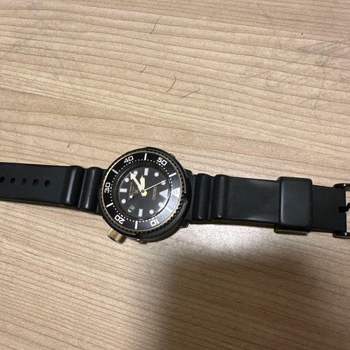 Seiko diver watch lower - watch,