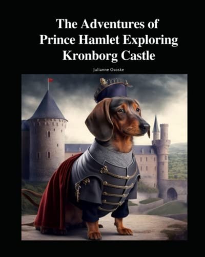 The adventures prince - the,