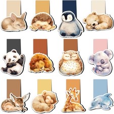 12 Pack Magnetic Bookmark