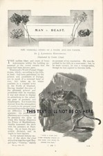 IVESTER LLOYD ILLUSTRATOR STRIKE MAN TIGER BARS c 1900 ART ILLUSTRATION PRINT