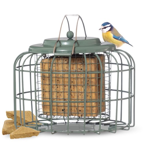 Squirrel proof fat ball suet - proof,