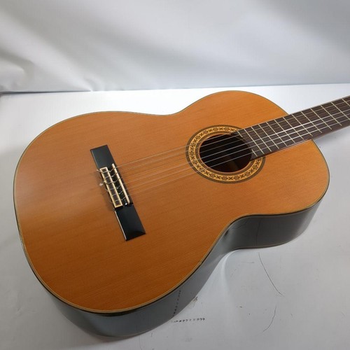 Takamine vintage - takamine,