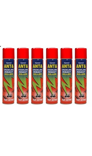 Sanmex ant crawling insect - sanmex,