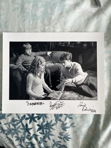 Harry potter and the - potter,