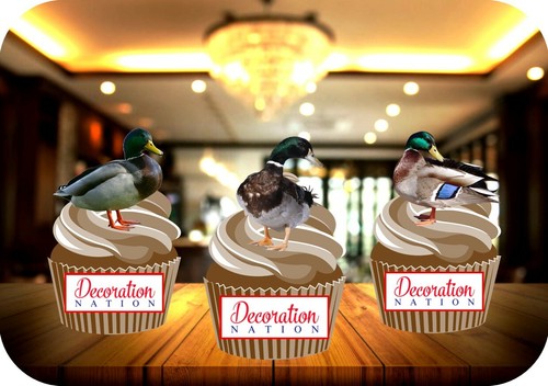 Duck trio mix edible - duck, 12