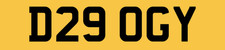 DOGGY VAN REG NUMBER PLATE D29