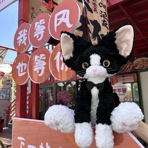 Cute black cat - cute, long