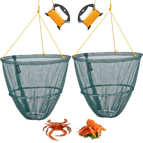 Crab fish crayfish lobster - fish,