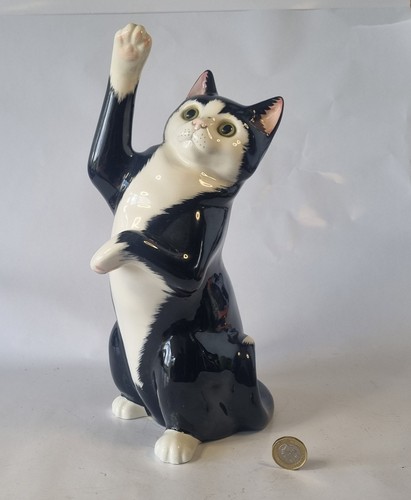 Large just cats co - large,