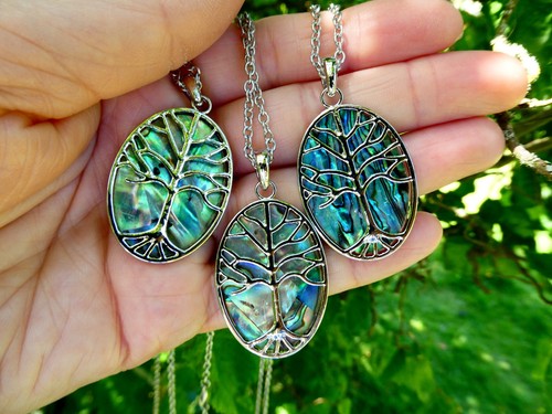 Large paua shell - of, life
