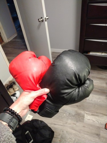 Pair boxing gloves training - boxing,