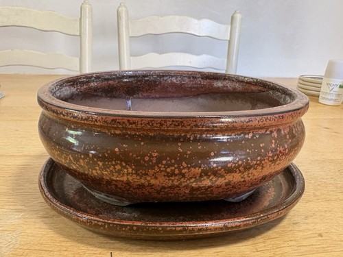 Bonsai pot with drip - pot,