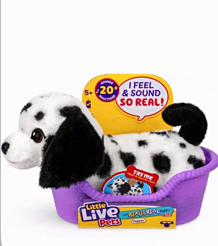 Little live pets really - little, my