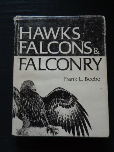 Hawks falcons and - falcons,