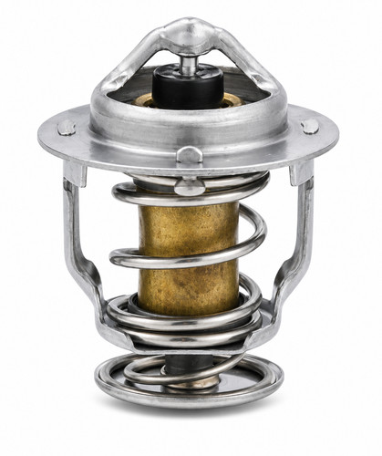 3662000021 thermostat c - 3662000021,