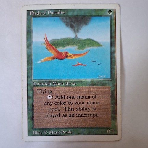 Birds paradise 3rd - mp,