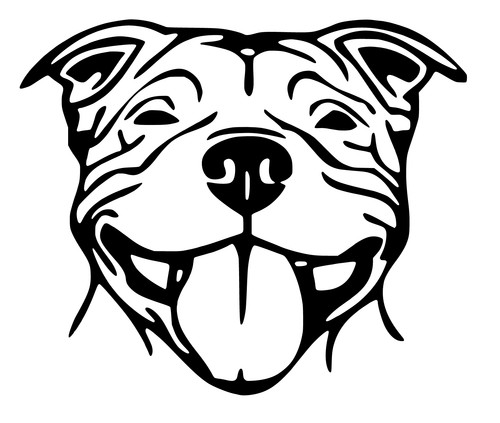 Staffordshire bull terrier - bull,