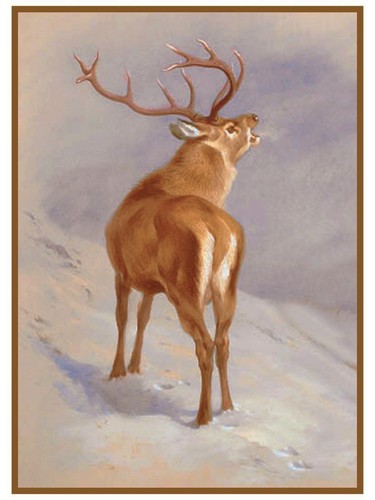 Naturalist archibald thorburn - naturalist,