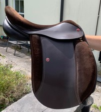 16” Matthew Lawrence WH show