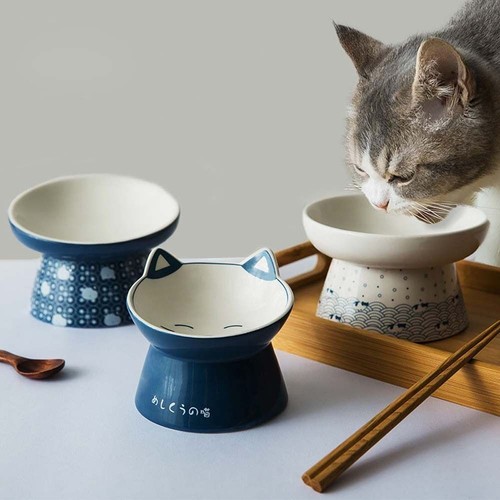 Tilted elevated cat bowl - cat,