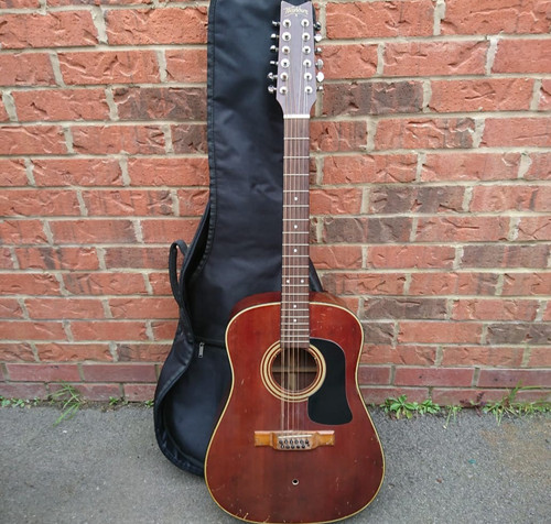 Washburn string - washburn, 12-string
