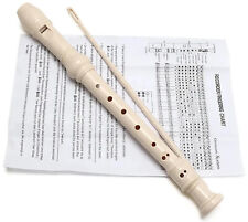 Traditional Recorder Beginner Musical Instrument & Instructions and Cleaning Rod