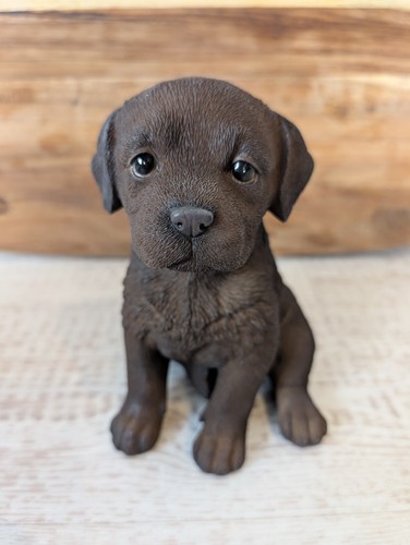 Puppy home garden ornament - home,