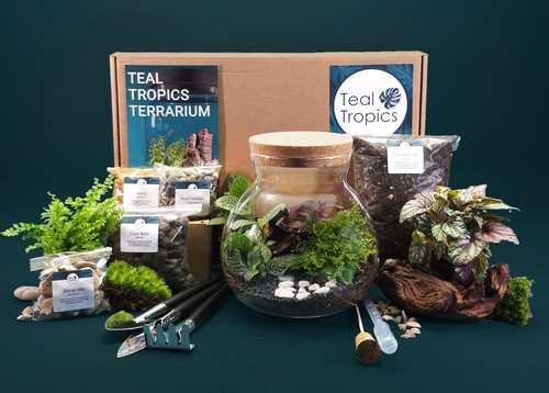 Sphere terrarium kit - terrarium,