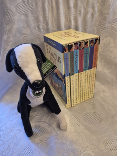 Famous five book - five,