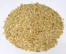 Aquarium Fish Tank Coral Samoa