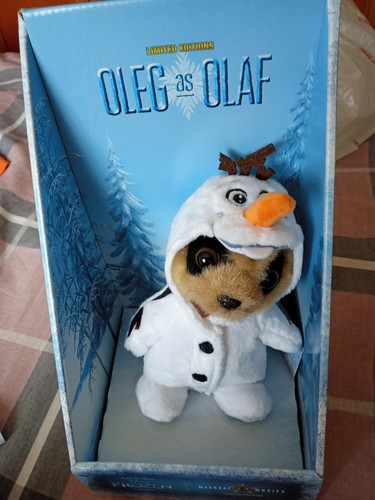 Baby oleg meerkat - oleg, olaf