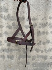 Brown/ Havana Shetland Foal Leather Head Collar with Brass Fittings