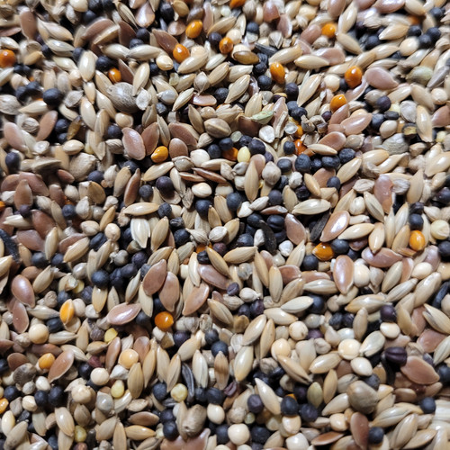 British finch seed - finch,