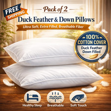 Pillows Duck Feathers & Down