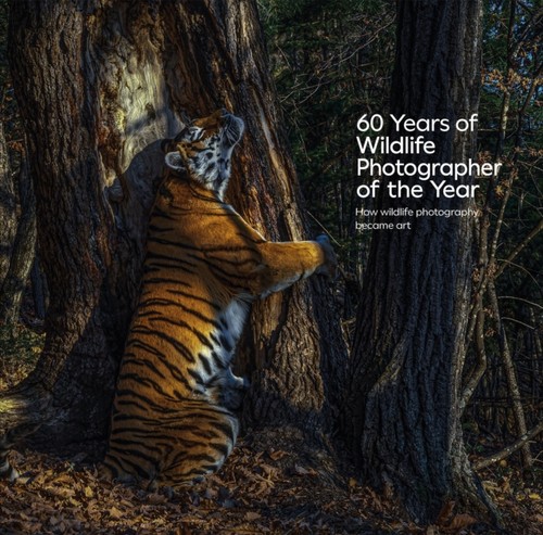 Years wildlife - of,