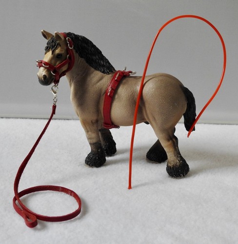 Red leather lunging lunge