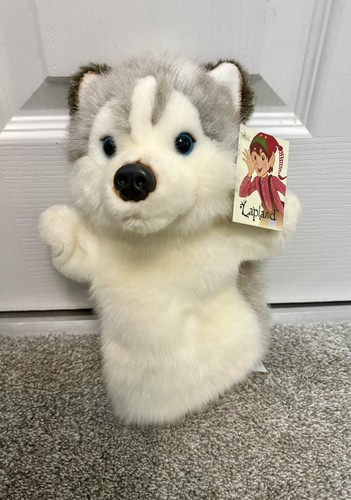 Laplanduk huskie husky dog - laplanduk,