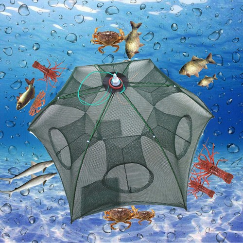 Fishing bait trap crab crawdad - crab,