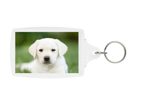 Labrador retriever keyring - labrador,