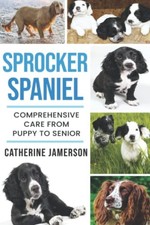 Sprocker Spaniel