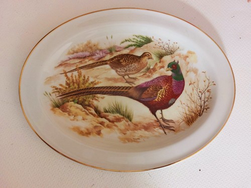 Large 31cm oval dinner plate - oval,