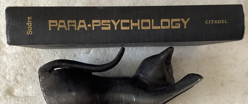 Para psychology rené - by,