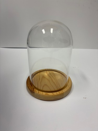 Glass cloche dome with - dome,