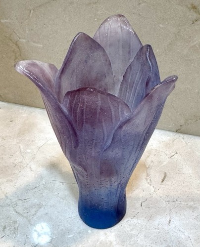 Large amaryllis violet blue - amaryllis,