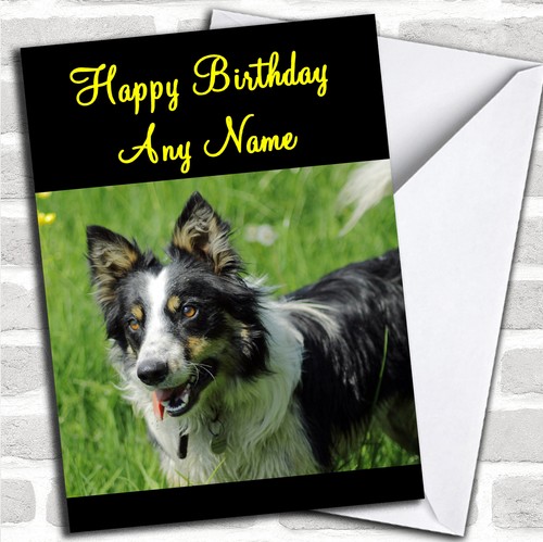 Welsh sheepdog birthday - welsh,