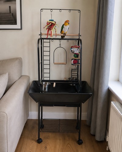 Jungle parrot play stand - jungle,