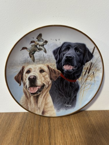 Labrador dogs collectors - labrador,